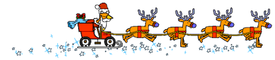 Christmas-Reminder-Get-Your-XSNANO-Orders-In-Early BiTron Australia