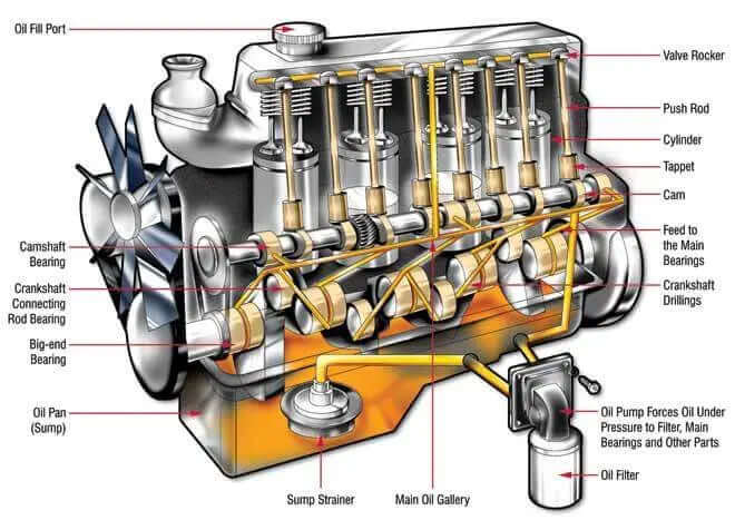 Bi-Tron-Australia-and-Lubrication-Solutions-P-L BiTron Australia
